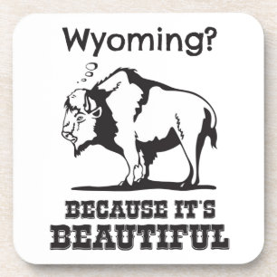 Wyoming? Weil es schön ist Getränkeuntersetzer