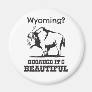 Wyoming? Weil es schön ist Magnet
