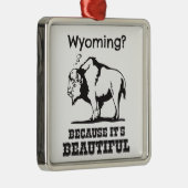Wyoming? Weil es schön ist Ornament Aus Metall (Rechts)