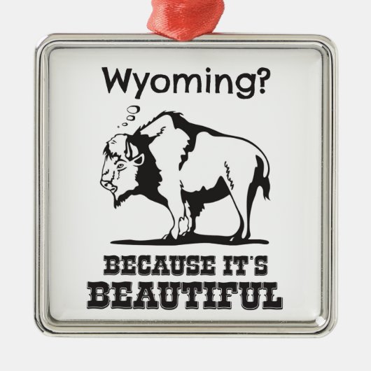 Wyoming? Weil es schön ist Ornament Aus Metall (Vorne)
