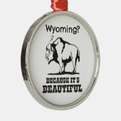Wyoming? Weil es schön ist Silbernes Ornament (Rechts)