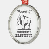 Wyoming? Weil es schön ist Silbernes Ornament (Links)