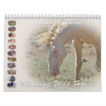 Wyoming Wild Horses