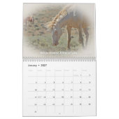Wyoming Wild Horses Kalender (Jan 2027)