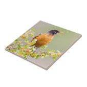 Wyomoming, Sublette Landkreis, ein amerikanischer  Fliese (Seite)