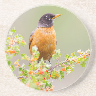 Wyomoming, Sublette Landkreis, ein amerikanischer  Getränkeuntersetzer