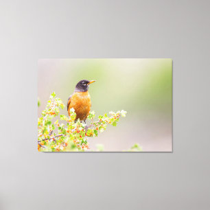 Wyomoming, Sublette Landkreis, ein amerikanischer  Leinwanddruck