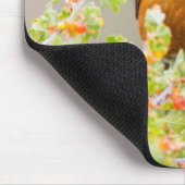 Wyomoming, Sublette Landkreis, ein amerikanischer Mousepad (Ecke)