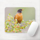 Wyomoming, Sublette Landkreis, ein amerikanischer Mousepad (Mit Mouse)