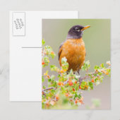 Wyomoming, Sublette Landkreis, ein amerikanischer  Postkarte (Vorne/Hinten)