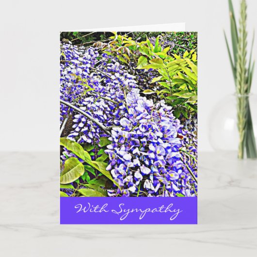 Wysteria Beileids-Karte mit schönem Gefühl Karte (Vorderseite)