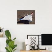 X-48B Blended Wing Body Unbemanntes Luftfahrzeug 4 Poster (Heimbüro)