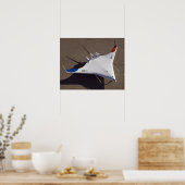 X-48B Blended Wing Body Unbemanntes Luftfahrzeug 4 Poster (Küche)