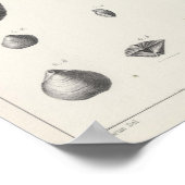 X Carboniferon Poster (Ecke)