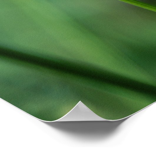 x-gestellt 01 poster (Ecke)