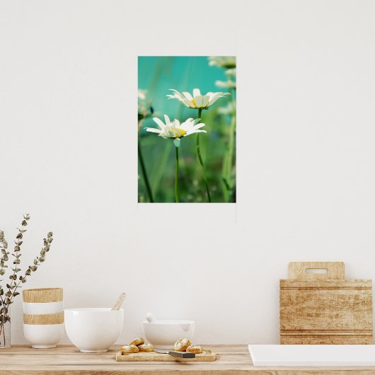 x-gestellt 01 poster (Küche)