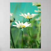 x-gestellt 01 poster (Vorne)