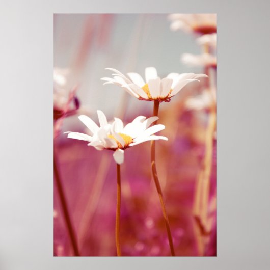 x-gestellt 03 poster (Vorne)