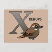 X ist für Xenops Postkarte (Vorderseite)