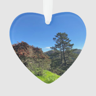 X.ITINERARIEN: SF-Spitzenwerte Ornament