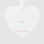 X.ITINERARIEN: SF-Spitzenwerte Ornament (Rückseite)
