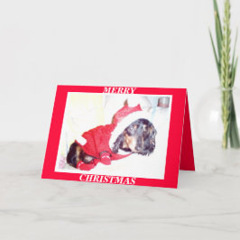X MAS CHRISTMAS CARDS - HEIDI PUP - DASCHUND MINI FEIERTAGSKARTE
