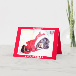 X MAS CHRISTMAS CARDS - HEIDI PUP - DASCHUND MINI FEIERTAGSKARTE