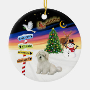 X Mas Schilder- Coton de Tulear Keramikornament