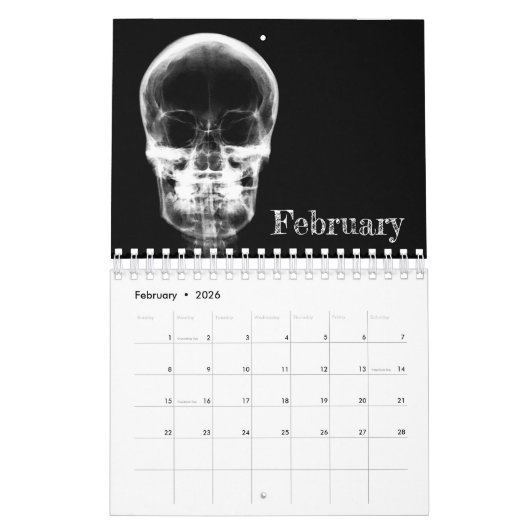 X-Ray Art Calendar 1 - Schwarzweiß Kalender (Feb 2026)