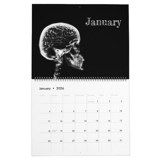X-Ray Art Calendar Kalender (Jan 2026)