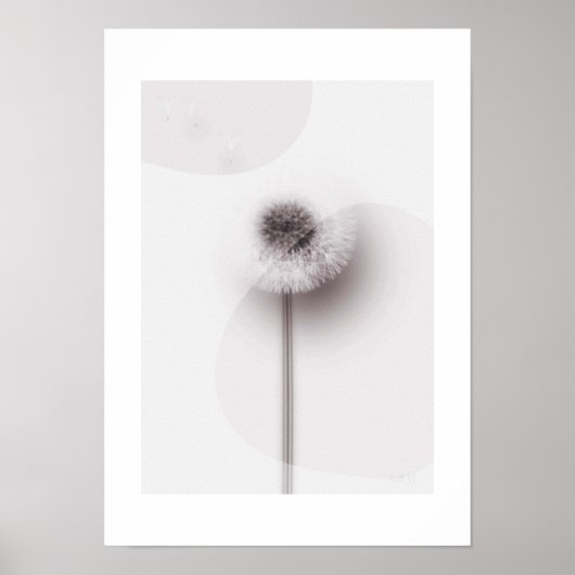 X-ray Botanical Art - Dandelion Poster (Vorne)