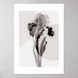 X-ray Botanical Art - Iris Poster