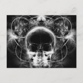 X-Ray Butterfly Fraktal Skull - B&W Postkarte