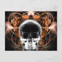 X-Ray Butterfly Fraktal Skull - Orange