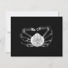X-Ray Crab Mitteilungskarte