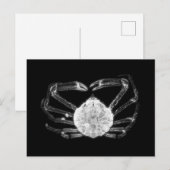 X-Ray Crab Postkarte (Vorne/Hinten)