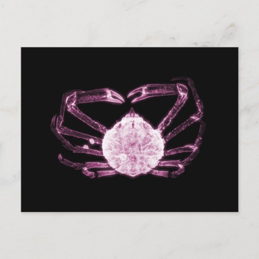 X-Ray Crab Postkarte (Vorderseite)
