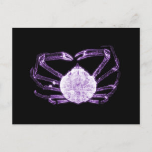 X-Ray Crab Postkarte
