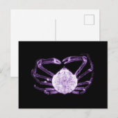 X-Ray Crab Postkarte (Vorne/Hinten)