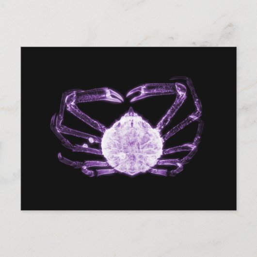 X-Ray Crab Postkarte (Vorderseite)