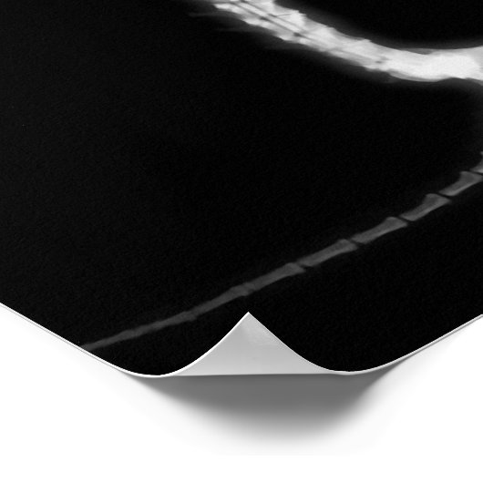 X-RAY PUPPY DOG SKELETON SITTING - B&W POSTER (Ecke)