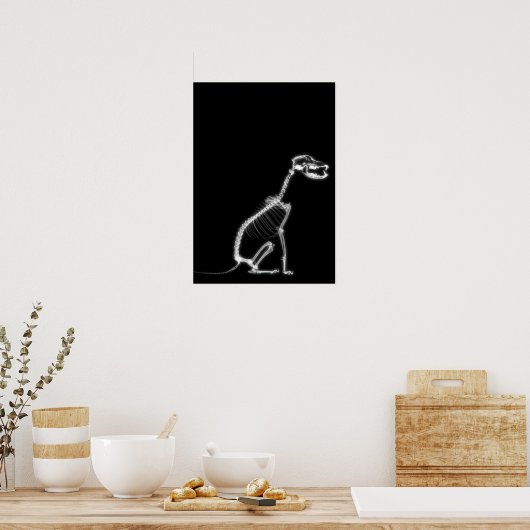 X-RAY PUPPY DOG SKELETON SITTING - B&W POSTER (Küche)