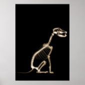 X-RAY PUPPY DOG SKELETON SITTING - SEPIA POSTER (Vorne)