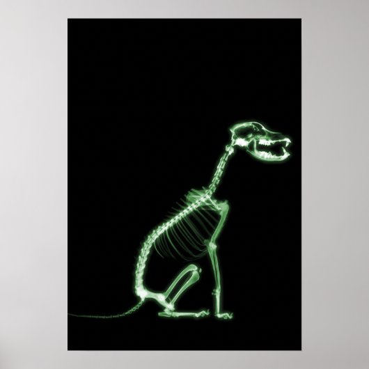 X-RAY PUPPY DOG SKELETON SITZEN - GRÜNE POSTER (Vorne)