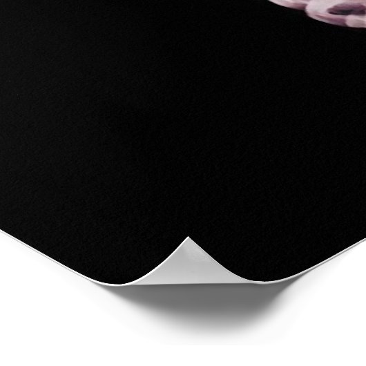 X-RAY SKELETON AUF MEGAPHONE - ORIGINAL POSTER (Ecke)