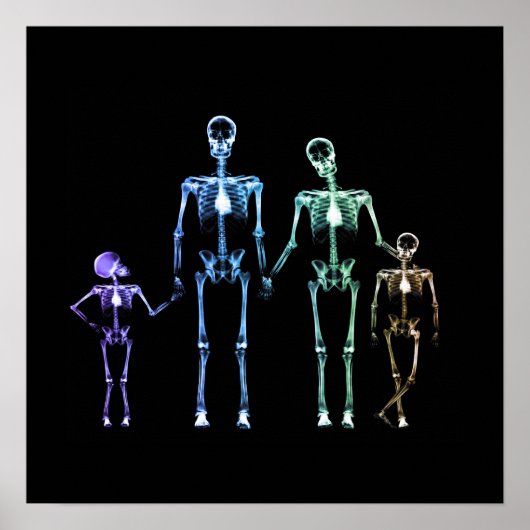 X-Ray Skeleton Family - Multicolor 3 Poster (Vorne)