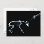 X-Ray Skeletons Bad Dog Blue Postkarte (Vorne/Hinten)