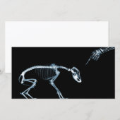 X-Ray Skeletons Blue Bad Dog (Vorne/Hinten)