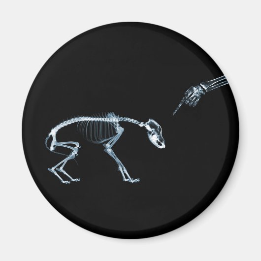 X-Ray Skeletons Blue Bad Dog Magnet (Vorne)