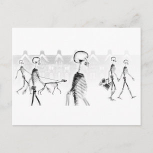 X-Ray Skelette Nachmittagsspaziergang Neg BW Postkarte